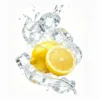 Sniffybar - Lemon Mint