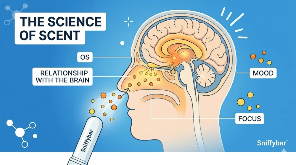 Best dual-hole nasal inhaler for focus and energy