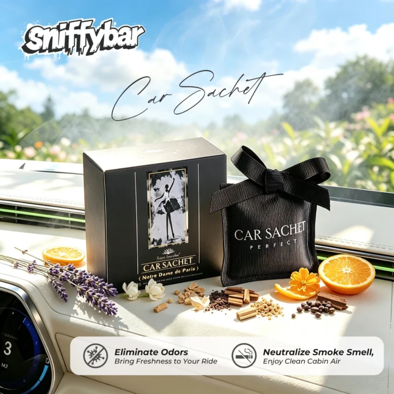 carsachet-notre-dame-woody-car-air-freshener-sachet CARSACHET Notre Dame de Paris woody car air freshener sachet with black gift box on a car dashboard